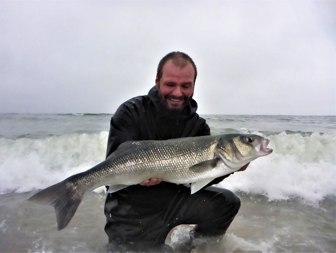 Fiskevideo fra Hanstholm